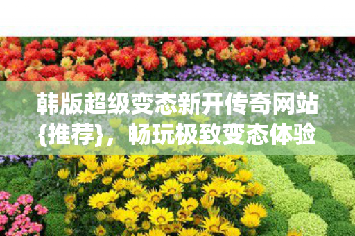 韩版超级变态新开传奇网站{推荐}，畅玩极致变态体验