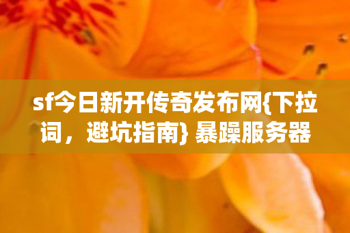 sf今日新开传奇发布网图片