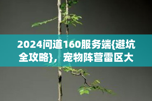 2024问道160服务端{避坑全攻略},宠物阵营雷区大揭秘 2024问道160服务端{避坑全攻略},宠物阵营雷区大揭秘