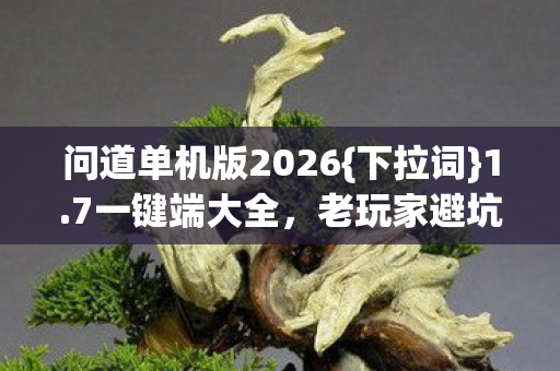 问道单机版2026图片