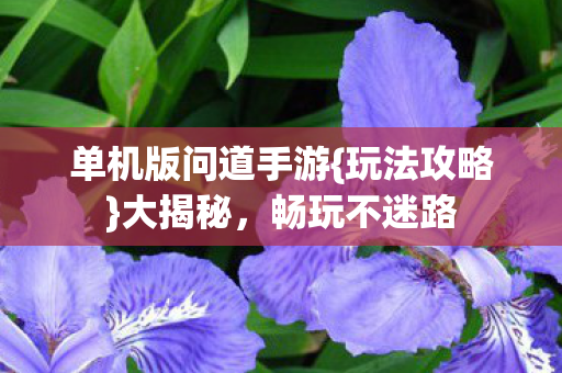 单机版问道手游{玩法攻略}大揭秘,畅玩不迷路 单机版问道手游{玩法攻略}大揭秘,畅玩不迷路