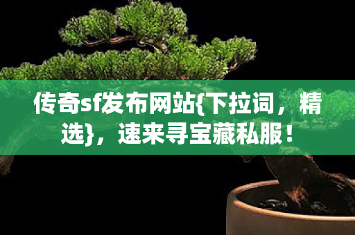 传奇sf发布网站{下拉词，精选}，速来寻宝藏私服！
