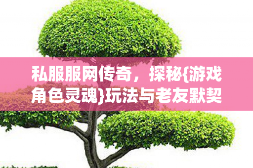 私服服网传奇，探秘{游戏角色灵魂}玩法与老友默契