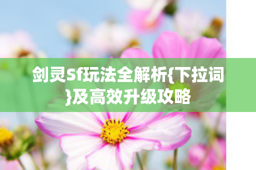 剑灵Sf玩法全解析{下拉词}及高效升级攻略