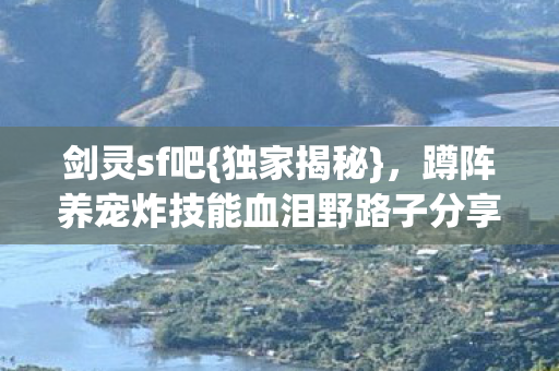 蹲阵养宠炸技能血泪野路子分享图片
