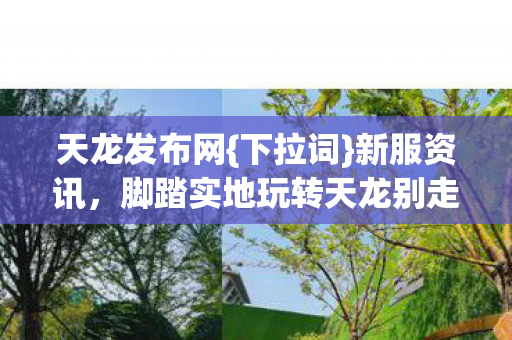 天龙发布网{下拉词}新服资讯，脚踏实地玩转天龙别走捷径