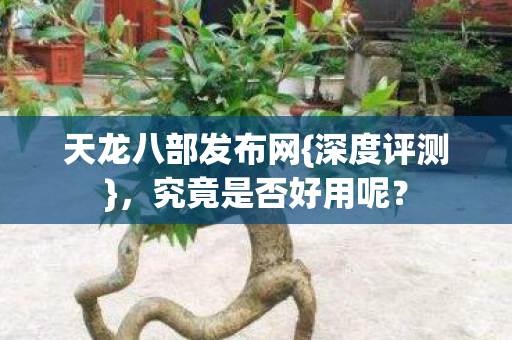 天龙八部发布网图片
