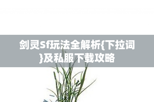 剑灵Sf玩法全解析图片