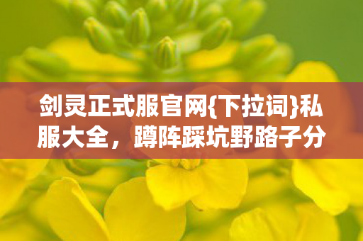 蹲阵踩坑野路子分享图片