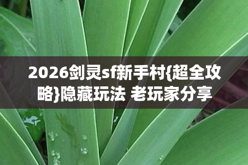 2026剑灵sf新手村图片