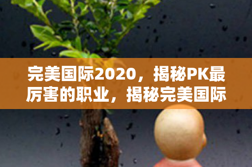 完美国际2020，揭秘PK最厉害的职业，揭秘完美国际2020PK最厉害的职业，谁才是战场上的霸主？