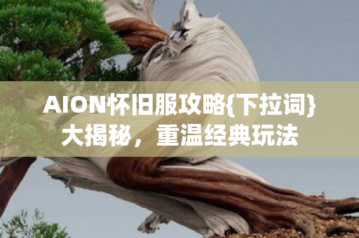 AION怀旧服攻略图片