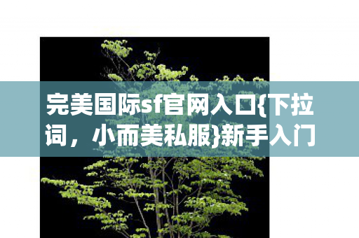 完美国际sf官网入口图片