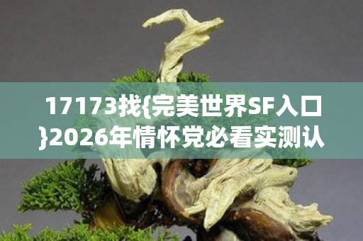 2026年情怀党必看实测认证服图片