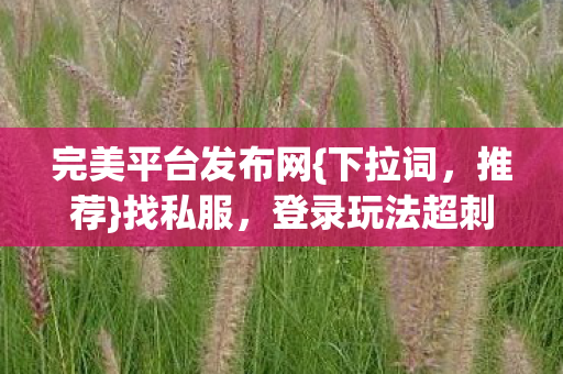 完美平台发布网图片