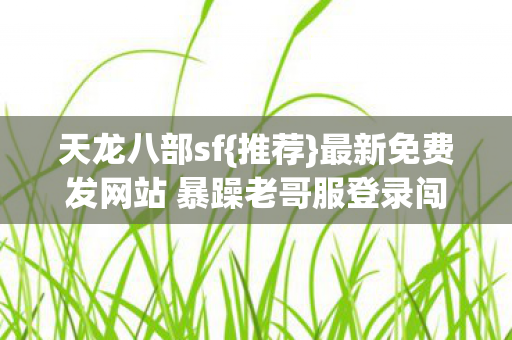 最新免费发网站 暴躁老哥服登录闯关记图片