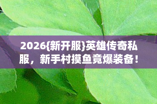 2026{新开服}英雄传奇私服,新手村摸鱼竟爆装备! 2026{新开服}英雄传奇私服,新手村摸鱼竟爆装备!