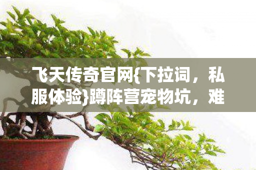 飞天传奇官网{下拉词，私服体验}蹲阵营宠物坑，难忘游戏岁月
