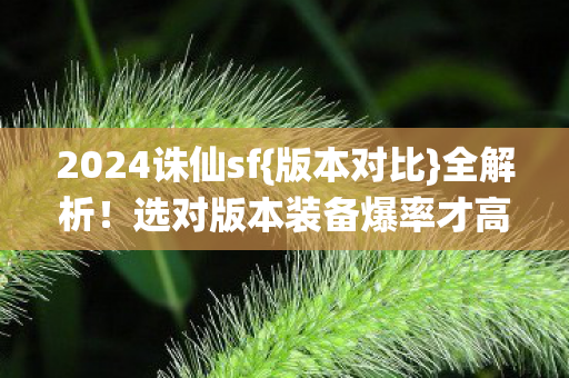 选对版本装备爆率才高图片