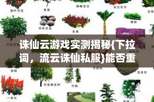 诛仙云游戏实测揭秘图片