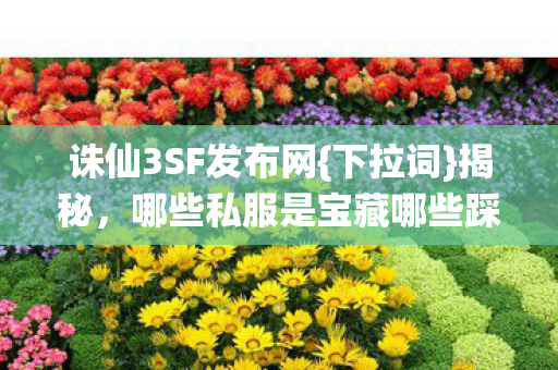 哪些私服是宝藏哪些踩坑图片