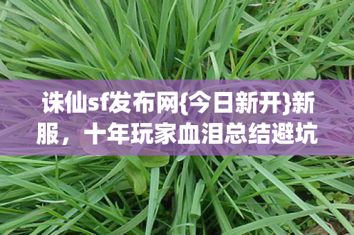 十年玩家血泪总结避坑指南图片
