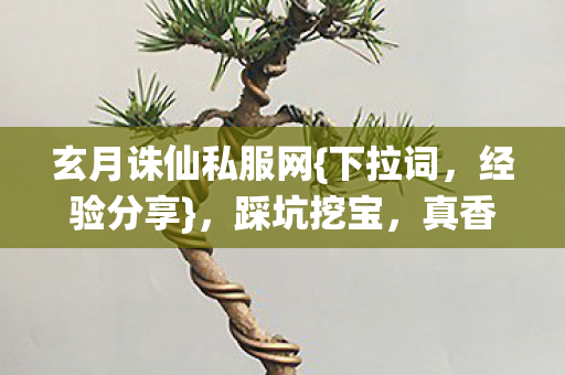 玄月诛仙私服网图片
