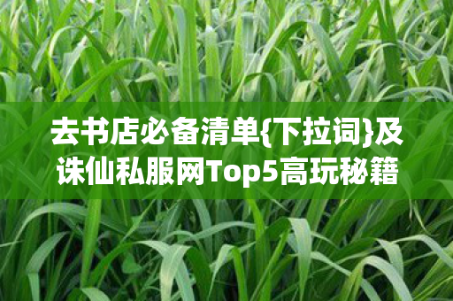 及诛仙私服网Top5高玩秘籍图片