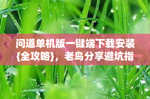 问道单机版一键端下载安装图片