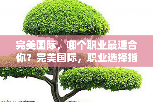 完美国际,哪个职业最适合你?完美国际,职业选择指南,助你找到最适合你的角色! 完美国际,哪个职业最适合你?完美国际,职业选择指南,助你找到最适合你的角色!