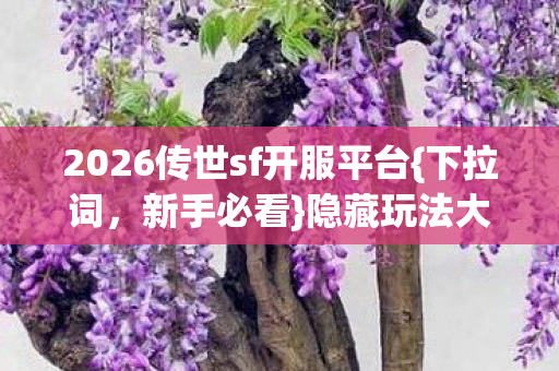 2026传世sf开服平台图片