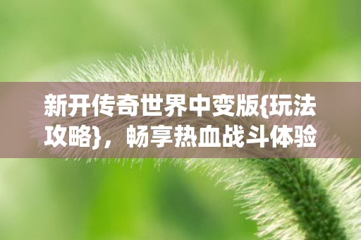 新开传奇世界中变版图片