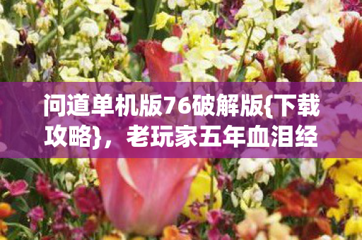 老玩家五年血泪经验分享图片