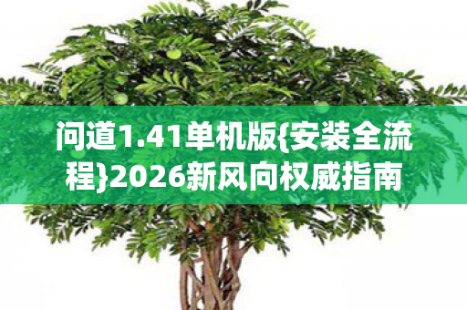 问道1.41单机版{安装全流程}2026新风向权威指南
