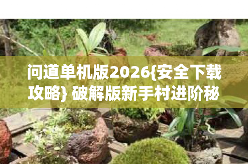 破解版新手村进阶秘籍图片