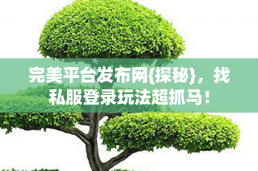 找私服登录玩法超抓马图片