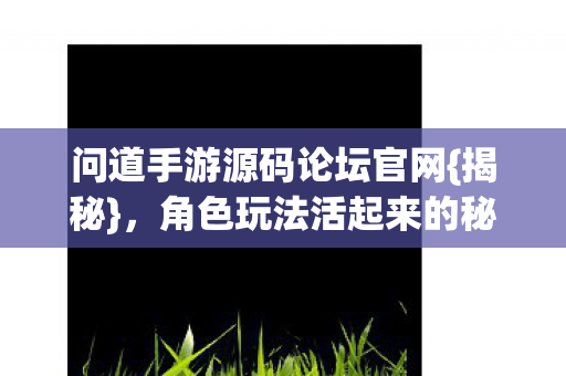 问道手游源码论坛官网{揭秘}，角色玩法活起来的秘密