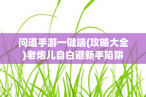 老炮儿自白避新手陷阱图片