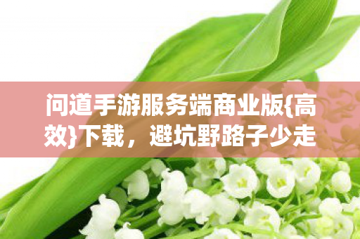 问道手游服务端商业版{高效}下载，避坑野路子少走弯路