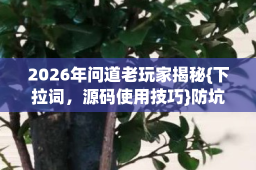 2026年问道老玩家揭秘图片