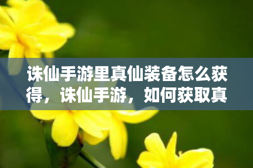 诛仙手游里真仙装备怎么获得,诛仙手游,如何获取真仙装备? 诛仙手游里真仙装备怎么获得,诛仙手游,如何获取真仙装备?
