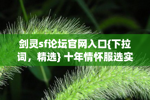 剑灵sf论坛官网入口图片