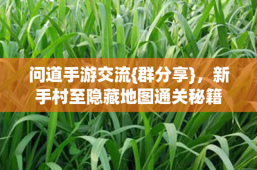问道手游交流{群分享}，新手村至隐藏地图通关秘籍
