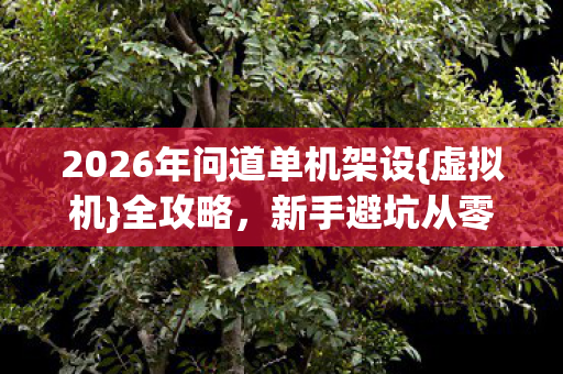 2026年问道单机架设{虚拟机}全攻略，新手避坑从零精通