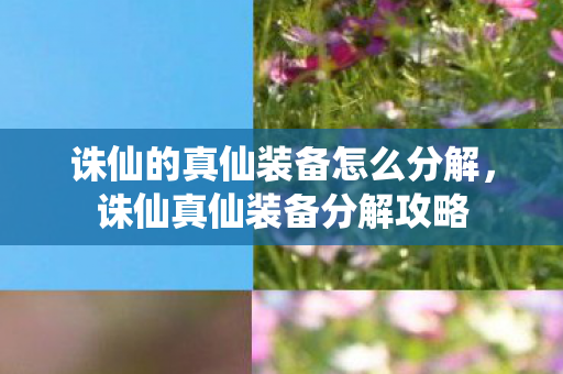 诛仙的真仙装备怎么分解，诛仙真仙装备分解攻略
