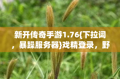 新开传奇手游1图片