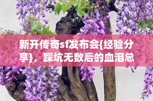 新开传奇sf发布会{经验分享}，踩坑无数后的血泪总结