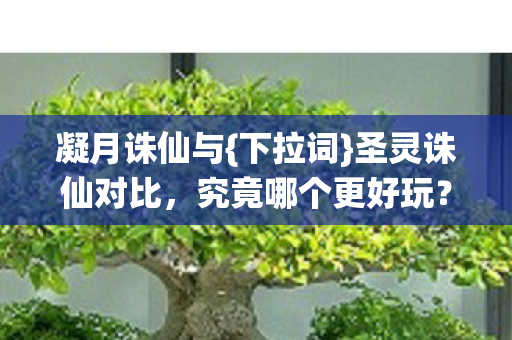 凝月诛仙与{下拉词}圣灵诛仙对比，究竟哪个更好玩？