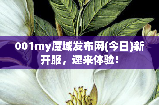 001my魔域发布网图片
