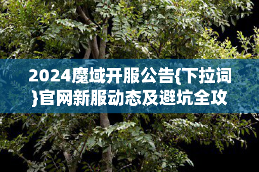 官网新服动态及避坑全攻略图片